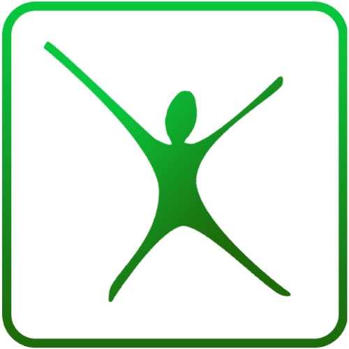 favicon_rostov_on_ice